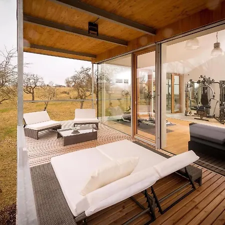 Holiday home Mit Aussenpool, Sauna Und Fitnessbereich Donaueschingen